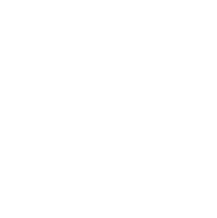 logo riep